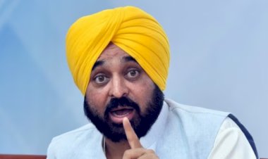 पिछली सरकारों की 20 साल की लापरवाही पर लगाम, AAP सरकार ने बढ़ाया पंजाब का ट्री कवर 177.22 वर्ग किमी!