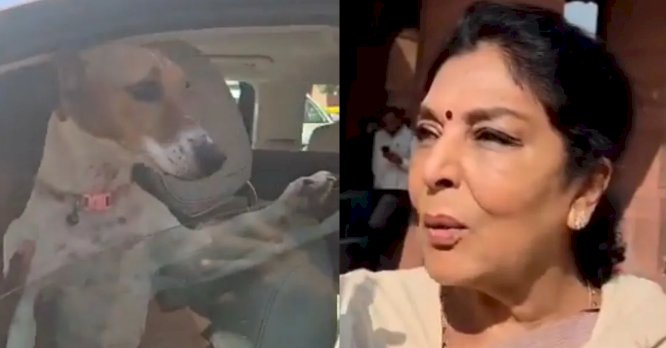 'यह काटता नहीं...' सांसद रेणुका चौधरी संसद परिसर में कुत्ता लेकर आईं, भाजपा ने कार्रवाई की मांग