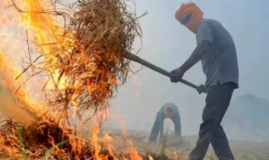  पंजाब सरकार की विज्ञान-आधारित योजनाओं से पराली प्रदूषण में 94% गिरावट