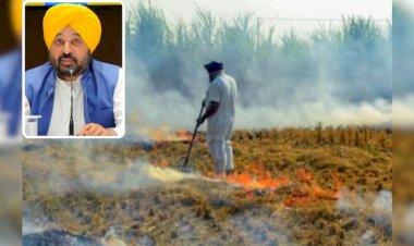 पंजाब सरकार का पराली मैनेजमेंट बना राष्ट्रीय उदहारण