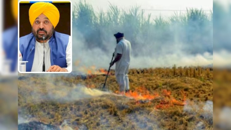 पंजाब सरकार का पराली मैनेजमेंट बना राष्ट्रीय उदहारण