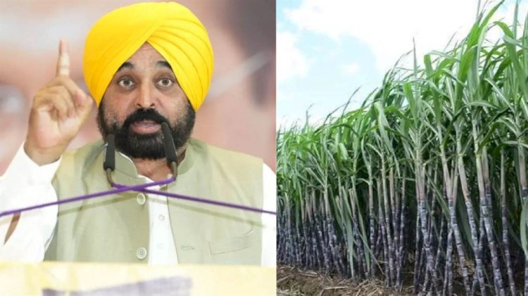 पंजाब सरकार ने गन्ना किसानों को दिया देश का सबसे महंगा दाम