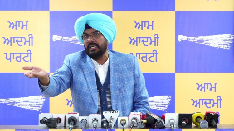 नशा तस्करों के सियासी सरपरस्तों के साथ राज्यपाल की यात्रा महज दिखावा: कुलदीप धालीवाल