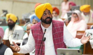 अमेरिका के साथ ट्रेड डील एक ऐसा समझौता है जो पंजाब और देश के किसानों को बर्बाद कर देगा: CM भगवंत सिंह मान