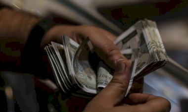 भारत सरकार ने सूक्ष्म वित्त संस्थानों के लिए ऋण गारंटी योजना-2.0 की शुरू