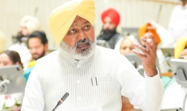 भगवंत मान सरकार बेअदबी के खिलाफ लाई सबसे सख्त कानून, इंसाफ सुनिश्चित करने के लिए उम्रकैद और 25 लाख रुपये का जुर्माना: हरपाल सिंह चीमा