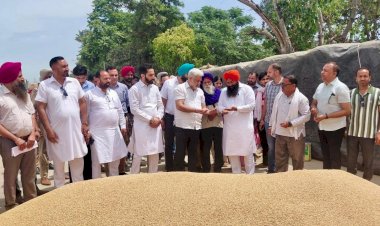 पंजाब की मंडियों में 28 लाख मीट्रिक टन गेहूं की आमद, 24 लाख मीट्रिक टन से अधिक की खरीद : लाल चंद कटारूचक्क