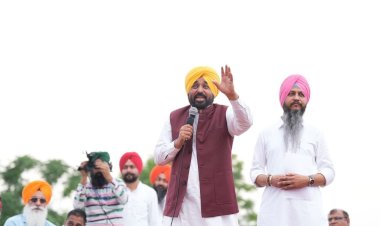 जब तक पंजाब में आम आदमी पार्टी की सरकार है, महिलाओं को सम्मान राशि और मुफ्त बिजली मिलती रहेगी - भगवंत सिंह मान