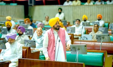 ई-20 पेट्रोल से वाहनों के नुकसान का मुद्दा पंजाब विधानसभा में गूंजा अमेरिकी दबाव में, प्रधानमंत्री मोदी भारत के 30 करोड़ वाहनों को स्क्रैप में बदलने पर तुले: मुख्यमंत्री भगवंत सिंह मान