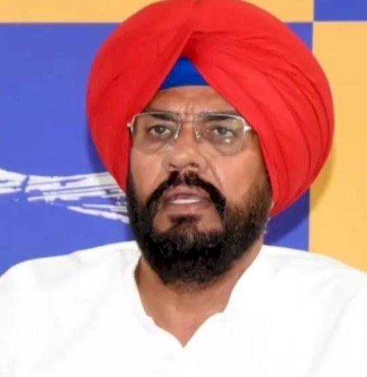 पंजाब में भाजपा का कोई जनाधार नहीं है, ईडी को राजनीतिक हथियार की तरह इस्तेमाल किया जा रहा है: कुलदीप धालीवाल