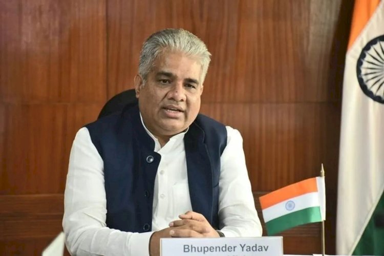 भारत में जन्मे चीते ने कूनो नेशनल पार्क में 5 स्वस्थ शावकों को जन्म दिया; भारत में चीतों की आबादी 60 तक पहुंची : मंत्री भूपेंद्र यादव